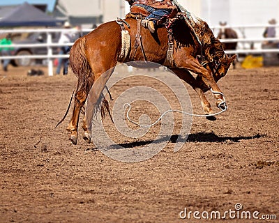 Cowboy Rides Bucking Rodeo Horse Stock Photo