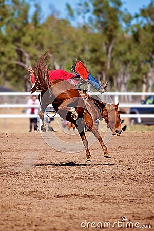 Cowboy Rides Bucking Rodeo Horse Stock Photo