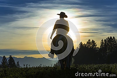 Cowboy riding across grassland Stock Photo