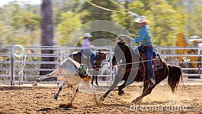 Cowboy Riding A Bucking Bronc Horse Stock Photo