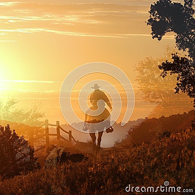 Cowboy riding on a horse I. Stock Photo