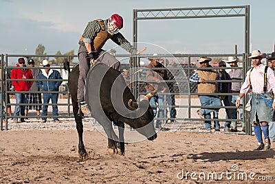 Cowboy Rodeo Bull Riding Editorial Stock Photo