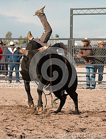 Cowboy Rodeo Bull Riding Editorial Stock Photo