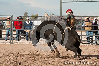 Cowboy Rodeo Bull Riding Editorial Stock Photo