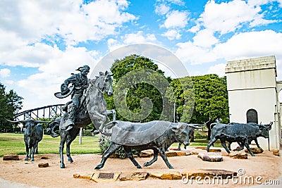 Cowboy rounding up cattle statues in Waco Stock Photo