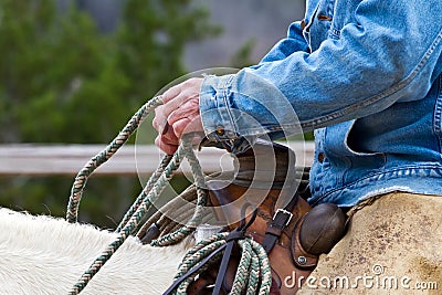 A cowboy's hands Stock Photo