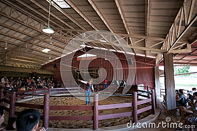 Cowboy show at Chok Chai Farm by an unidentified trained cowboy; Nakornratchasrima, Thailand Editorial Stock Photo