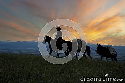 Cowboy silhouette against dwan sky Stock Photo