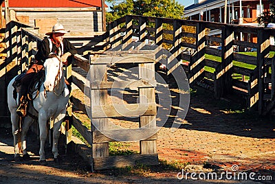 A cowboy stands over an open pen in Texas Editorial Stock Photo