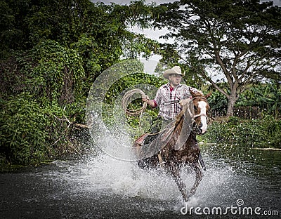 Cowboy,Trinidad, Cuba Editorial Stock Photo