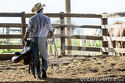 Cowboy walking and watching Stock Photo
