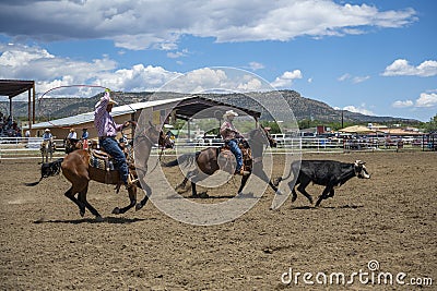 Rodeo Team Calf Roping, Cowboys Editorial Stock Photo