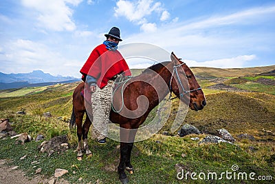 Cowboys riding horses Editorial Stock Photo