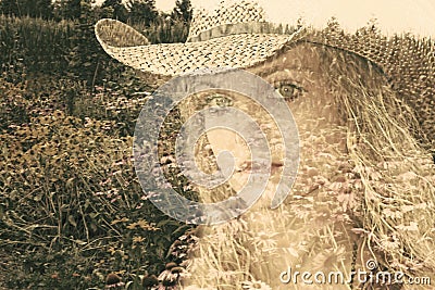 Cowgirl Double Exposure Stock Photo