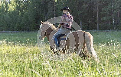 Cowgirl horseback riding in forest Stock Photo