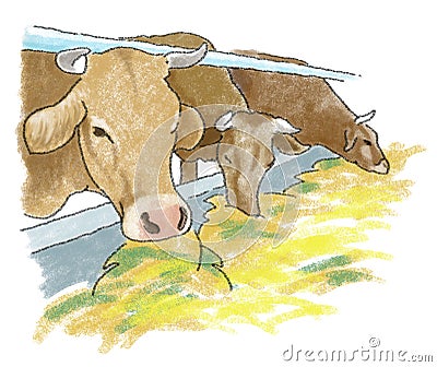 Cows barn Stock Photo