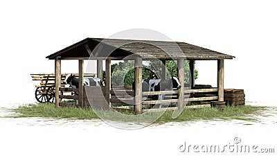 Cows in barn on white background Stock Photo