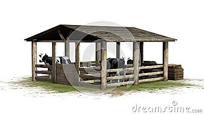 Cows in barn on white background Stock Photo