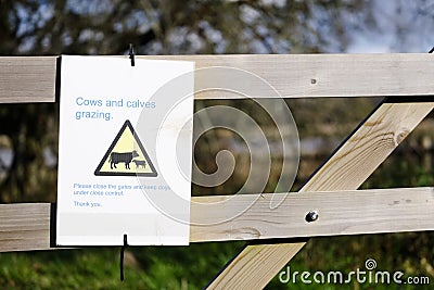 Cows and calves grazing warning sign on private farm Stock Photo
