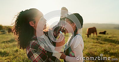 Cows, farm and mother bonding with child, fixing hair clip and standing on field. Farming, farm animals and mom with Stock Photo