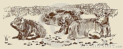 Cows in field dry stone wall paddock Hand drawn sketch Vector Illustration