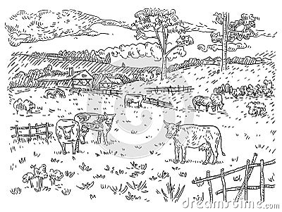 Cows graze in the meadow. Vintage black engraving Vector Illustration