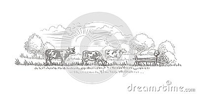 Cows grazing in a farmland/nature landscape vector sketch. Vector Illustration