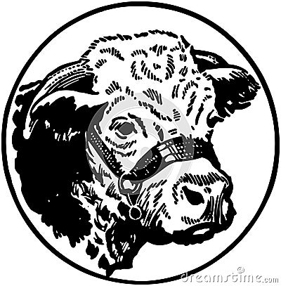 Cows Head Vector Illustration