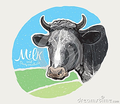 Cows head, in a graphic style Vector Illustration