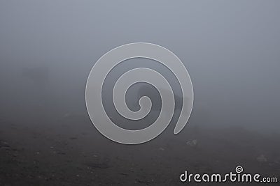 Cows herd in thick fog walking in gloomy sinister overcast on mountain slope. Highlands cattle breeding. Grey haze landscape. Stock Photo