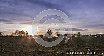 Cows Pasture Farmland at sunset Germany Landscape Nature Stock Photo