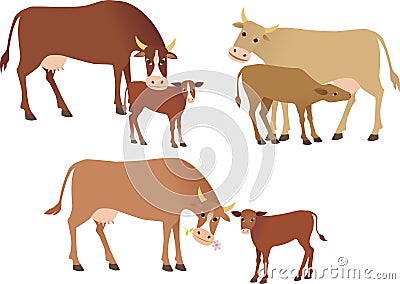 Cows Vector Illustration