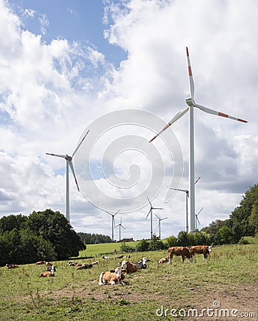 Cows and wind turbines in meadow Stock Photo