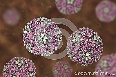 Coxsackievirus, an RNA enterovirus Cartoon Illustration
