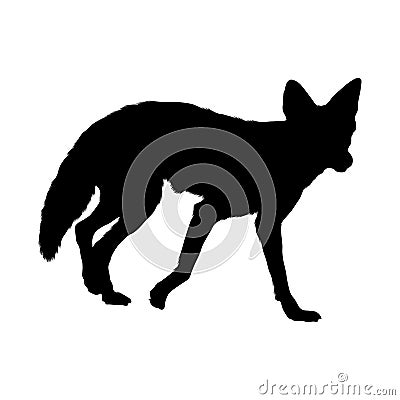 Coyote Canis latrans Silhouette Vector Found In Map Of North America Vector Illustration