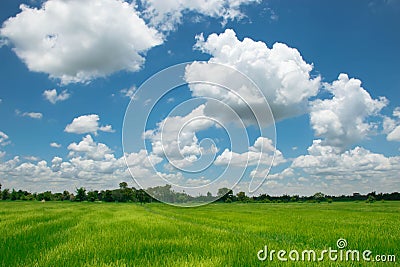 The cozy atmosphere in the rice fields. Among the clouds on a beautiful sky. Stock Photo
