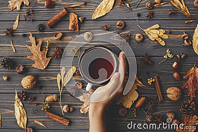 Cozy autumn days. Hand holding warm cup of tea on background of autumn leaves, berries, nuts, anise, acorns, pine cones on rustic Stock Photo