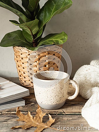 Cozy autumn home still life of a houseplant, a mug with a drink, a knitted blanket and magazines on a rustic wooden table Stock Photo