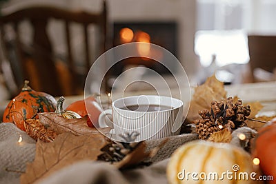 Cozy autumn. Warm cup of tea, pumpkins, autumn leaves, cones, cozy scarf and lights on rustic wooden table in farmhouse. Fall in Stock Photo