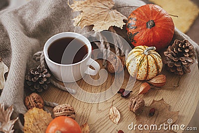 Cozy autumn. Warm cup of tea, pumpkins, autumn leaves, cones, cozy scarf on rustic wooden table in farmhouse. Fall in rural home. Stock Photo