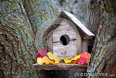 Cozy Birdhouse Stock Photo