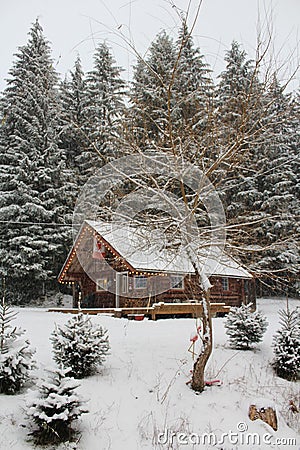 Cozy Canadian Wilderness Cabin Stock Photo