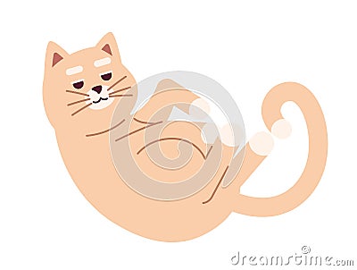 Cozy cute cat curled up 2D cartoon character Vector Illustration
