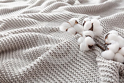 Cozy grey blanket with cotton flowers and copy space Stock Photo