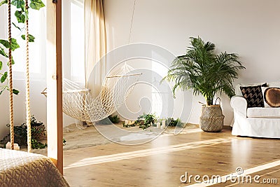 Cozy home interior with couch Stock Photo