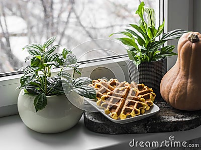 Cozy home still life - indoor flowers, pumpkin waffles, pumpkin on the windowsill Stock Photo