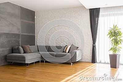 Cozy living room with sofa Stock Photo