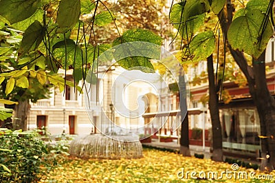 Cozy old courtyard Palais Royal and tree leaves in autumn. Odessa. Ukraine. Stock Photo