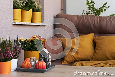 Cozy Place to Relax on Balcony or Terrace with Cute Autumn Hygge Home Decor and Blooming Flowers. Stock Photo