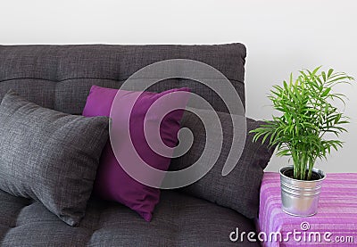 Cozy sofa with cushions and green plant Stock Photo